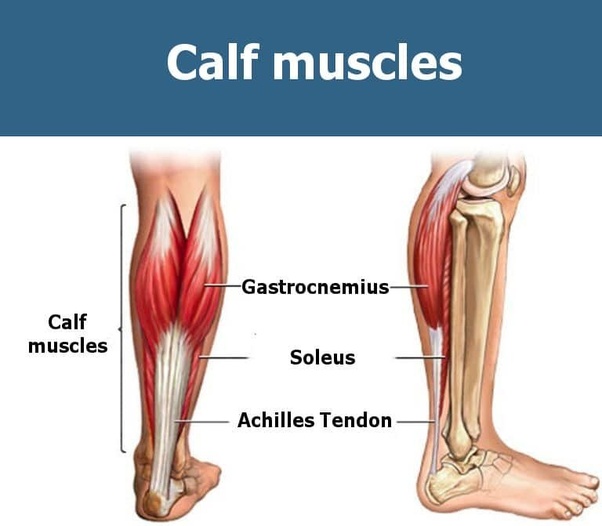 Calf Strain Sydney Physiotherapy